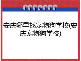 安庆哪里找宠物狗学校(安庆宠物狗学校)