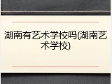 湖南有艺术学校吗(湖南艺术学校)