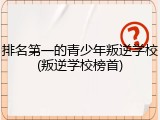 排名第一的青少年叛逆学校(叛逆学校榜首)
