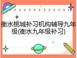 衡水桃城补习机构辅导九年级(衡水九年级补习)