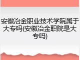 安徽冶金职业技术学院属于大专吗(安徽冶金职院是大专吗)