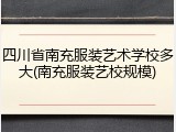 四川省南充服装艺术学校多大(南充服装艺校规模)