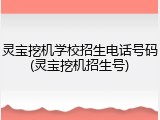 灵宝挖机学校招生电话号码(灵宝挖机招生号)