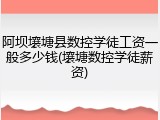 阿坝壤塘县数控学徒工资一般多少钱(壤塘数控学徒薪资)