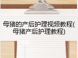 母猪的产后护理视频教程(母猪产后护理教程)