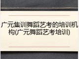 广元集训舞蹈艺考的培训机构(广元舞蹈艺考培训)