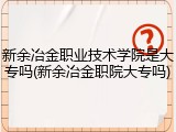 新余冶金职业技术学院是大专吗(新余冶金职院大专吗)