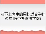 考不上高中的男孩适合学什么专业(中考落榜学啥)