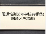 昭通培训艺考学校有哪些(昭通艺考培训)