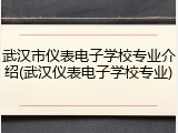 武汉市仪表电子学校专业介绍(武汉仪表电子学校专业)