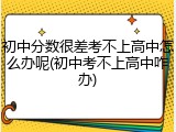 初中分数很差考不上高中怎么办呢(初中考不上高中咋办)
