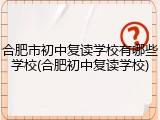 合肥市初中复读学校有哪些学校(合肥初中复读学校)