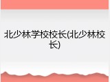 北少林学校校长(北少林校长)