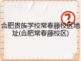 合肥贵族学校常春藤校区地址(合肥常春藤校区)