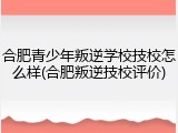 合肥青少年叛逆学校技校怎么样(合肥叛逆技校评价)