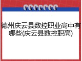 德州庆云县数控职业高中有哪些(庆云县数控职高)