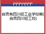 自贡有四川轻工业学校嘛(自贡四川轻工校)