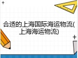 合适的上海国际海运物流(上海海运物流)