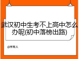 武汉初中生考不上高中怎么办呢(初中落榜出路)