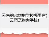 云南的宠物狗学校哪里有(云南宠物狗学校)