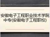 安徽电子工程职业技术学院中专(安徽电子工程职校)