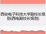 西安电子科技大学副校长级别(西电副校长级别)
