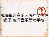 威海集训音乐艺考的学校在哪里(威海音乐艺考学校)