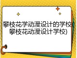 攀枝花学动漫设计的学校(攀枝花动漫设计学校)