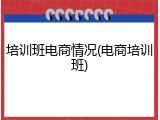培训班电商情况(电商培训班)