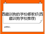 西藏训狗的学校哪家好(西藏训狗学校推荐)
