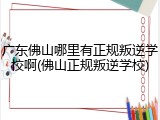 广东佛山哪里有正规叛逆学校啊(佛山正规叛逆学校)