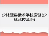 少林延鲁武术学校套路(少林武校套路)
