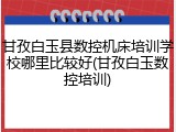 甘孜白玉县数控机床培训学校哪里比较好(甘孜白玉数控培训)