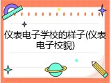 仪表电子学校的样子(仪表电子校貌)
