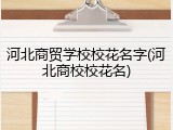 河北商贸学校校花名字(河北商校校花名)