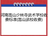 河南嵩山少林寺武术学校收费标准(嵩山武校收费)