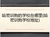 哈密训狗的学校在哪里(哈密训狗学校地址)