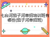 七台河茄子河单招培训班有哪些(茄子河单招班)