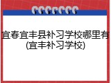 宜春宜丰县补习学校哪里有(宜丰补习学校)