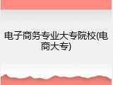 电子商务专业大专院校(电商大专)