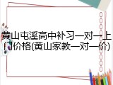 黄山屯溪高中补习一对一上门价格(黄山家教一对一价)