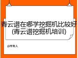 青云谱在哪学挖掘机比较好(青云谱挖掘机培训)