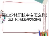 嵩山少林职校中专怎么样(嵩山少林职校如何)