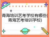 青海培训艺考学校有哪些(青海艺考培训学校)