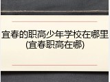 宜春的职高少年学校在哪里(宜春职高在哪)