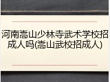 河南嵩山少林寺武术学校招成人吗(嵩山武校招成人)
