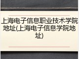 上海电子信息职业技术学院地址(上海电子信息学院地址)