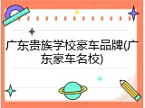 广东贵族学校豪车品牌(广东豪车名校)