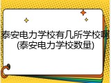 泰安电力学校有几所学校啊(泰安电力学校数量)