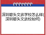 深圳碧头文武学校怎么样(深圳碧头文武校如何)